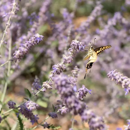 Villa Caelum With Heated Pool, By Hellocrete *