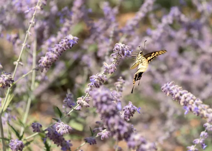 Villa Caelum With Heated Pool, By Hellocrete *